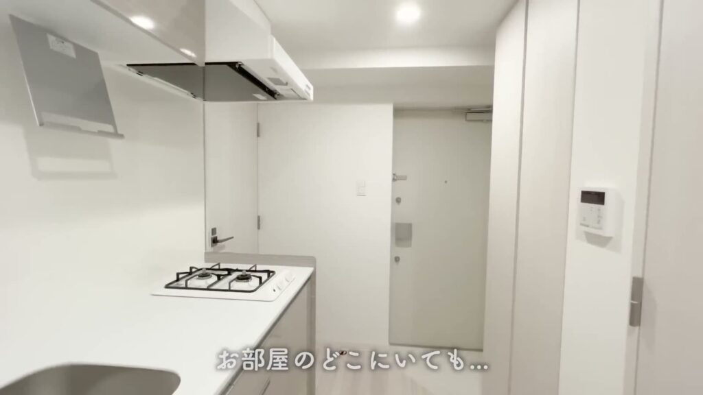 ブライズ東日本橋 1Kのキッチンと玄関