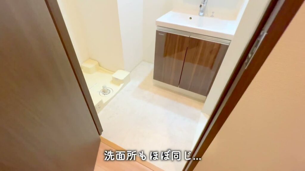 ラフィスタ町田 1DKの洗面所