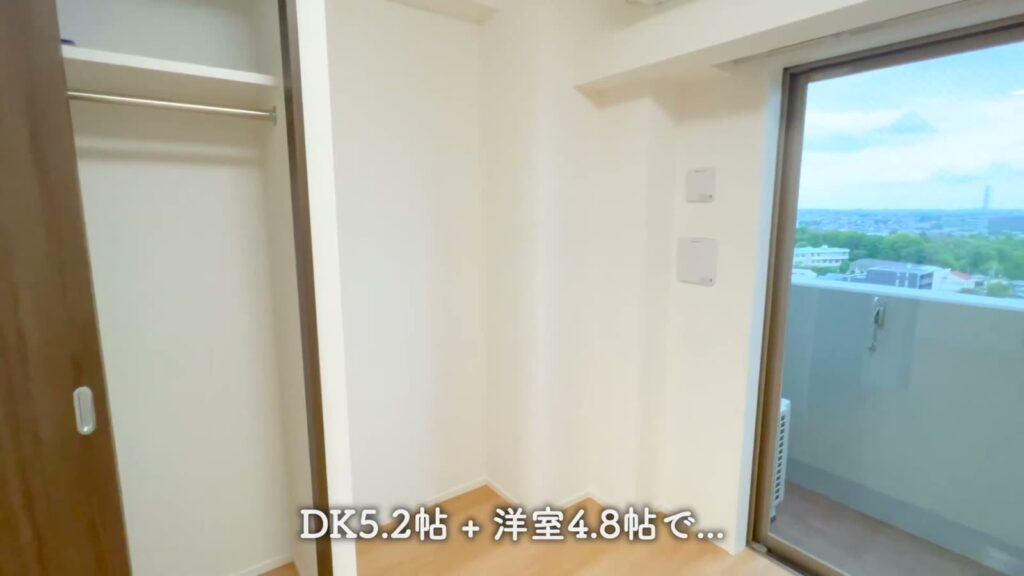 ラフィスタ町田 1DKの洋室の収納