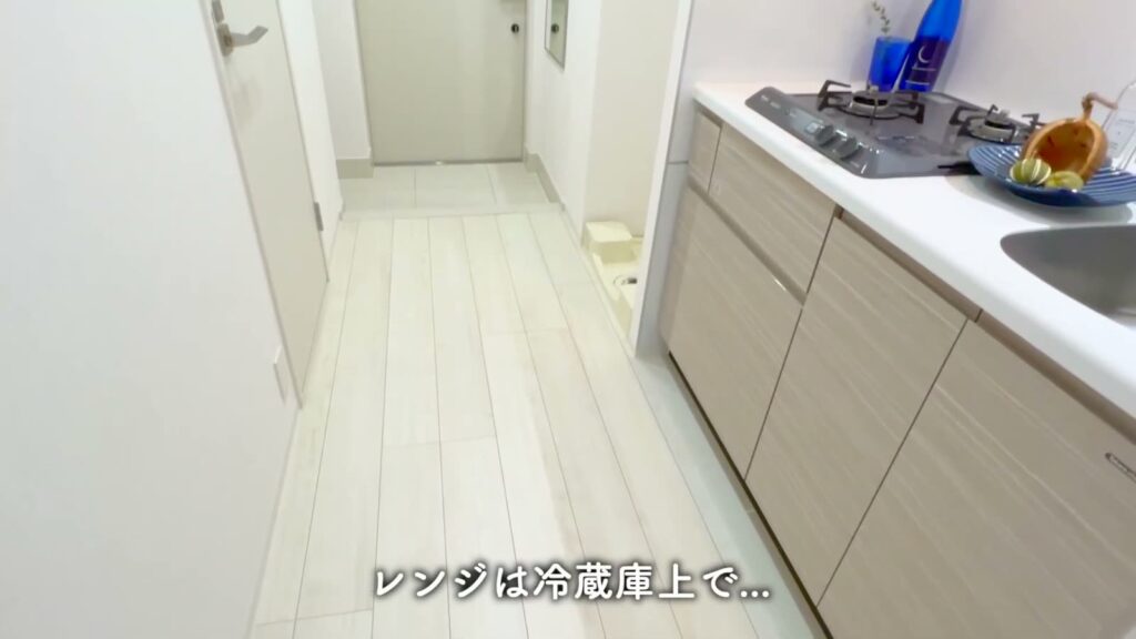 フュージョナル東墨田 1Kの廊下