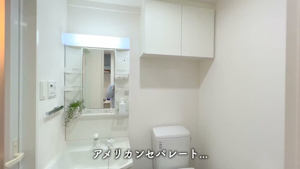 フュージョナル東墨田 1Kの洗面台