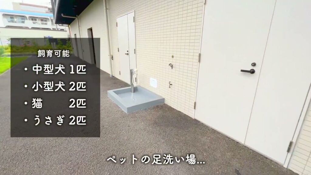 フュージョナル東墨田 1Kのペットの足洗い場