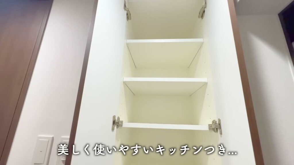 プレミアムキューブ大岡山DEUX 1DKの靴箱