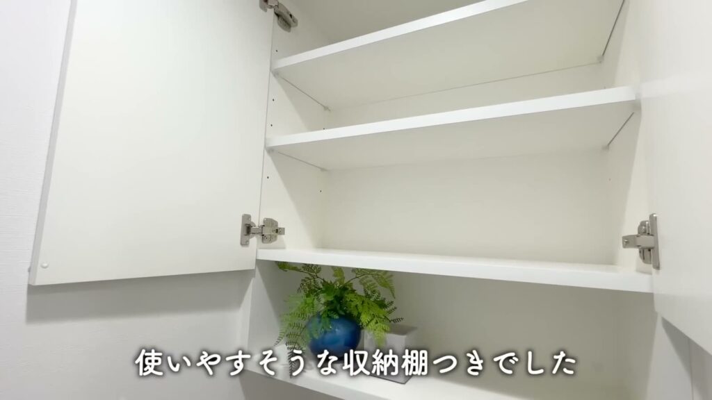 プレミアムキューブ大岡山DEUX 1DKの吊り戸棚