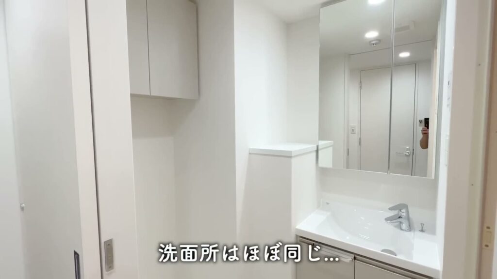 プレミアムキューブ大岡山DEUX 1DKの洗面所