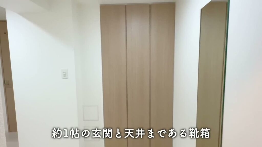ブライズフォルム墨田 1LDKの靴箱