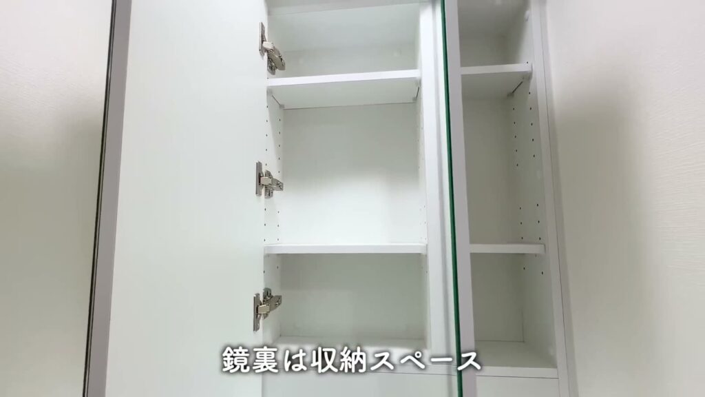 ブライズフォルム墨田 1LDKの鏡裏の収納