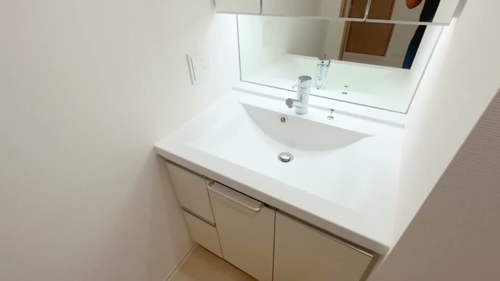 ブライズフォルム墨田 1LDKの洗面台