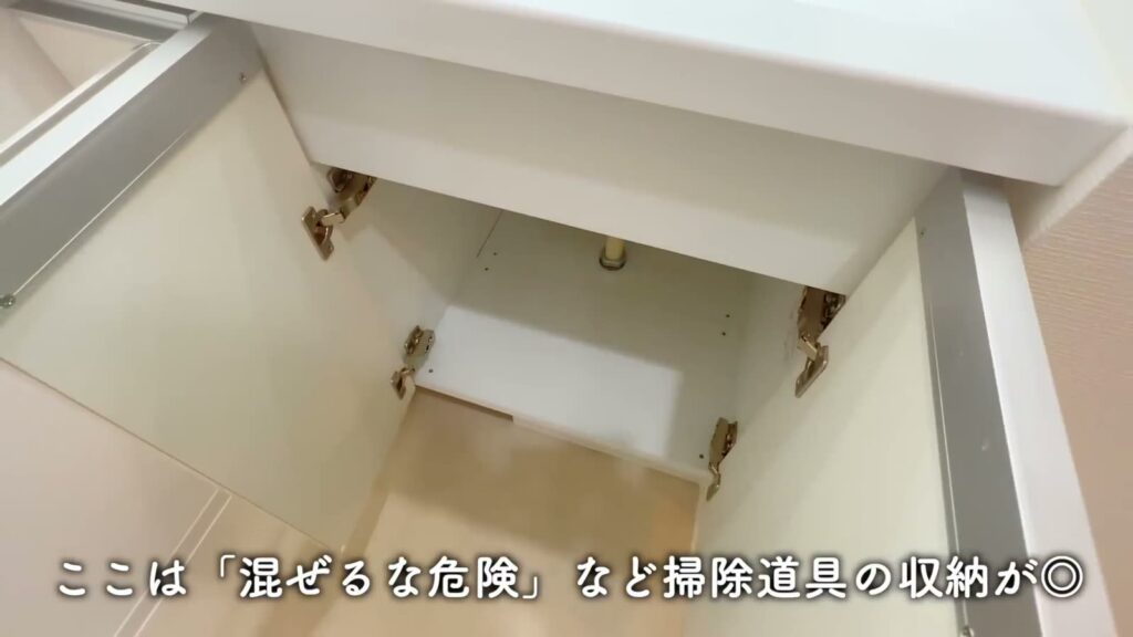 ブライズフォルム墨田 1LDKの洗面台下の収納
