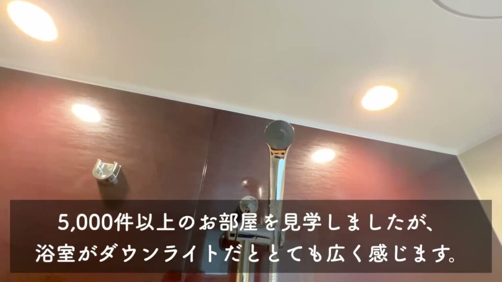 ブライズフォルム墨田 1LDKの浴室