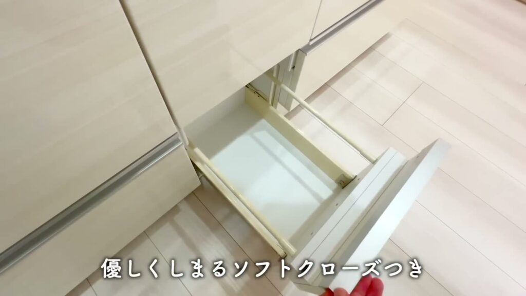 ブライズフォルム墨田 1LDKの引き出し収納