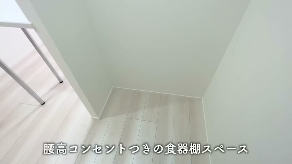 ブライズフォルム墨田 1LDKの食器棚スペース