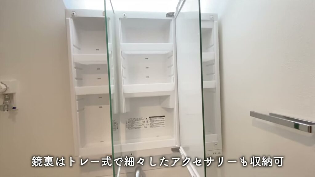 羽田の1LDK 1LDKの鏡裏収納