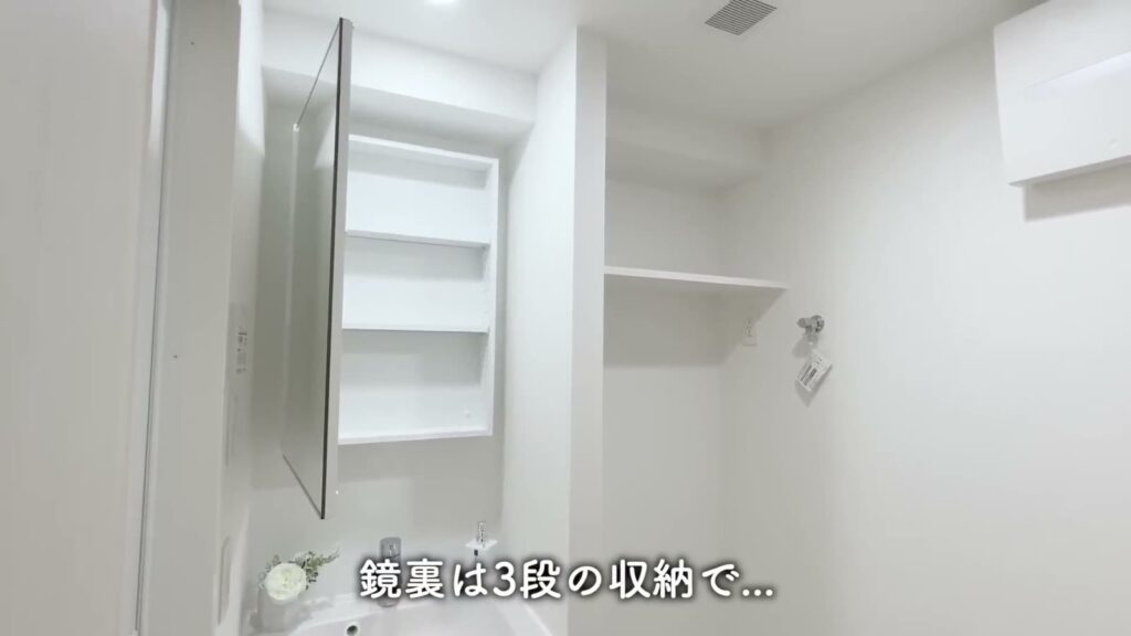ブライズ高円寺 1Kの鏡の裏の収納