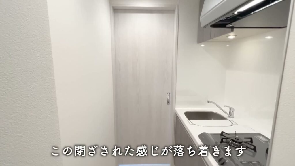 羽田のマンション 2Kのキッチンの扉