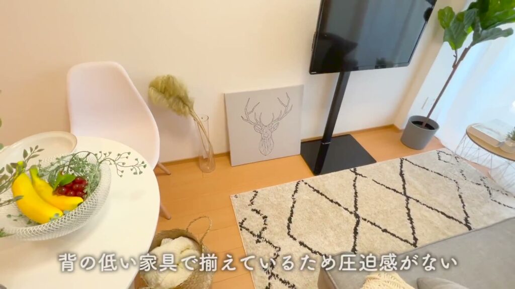 ベルグレードSI 1DKのテレビまわり