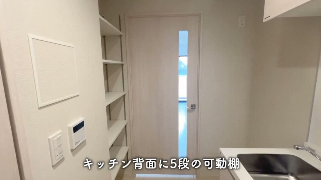 阪東橋の賃貸マンション 1Kの背面の可動棚