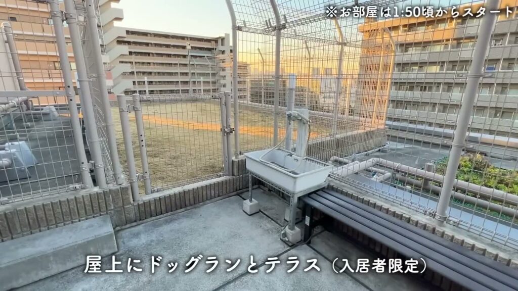 潮見の賃貸マンション 1DKのドッグラン