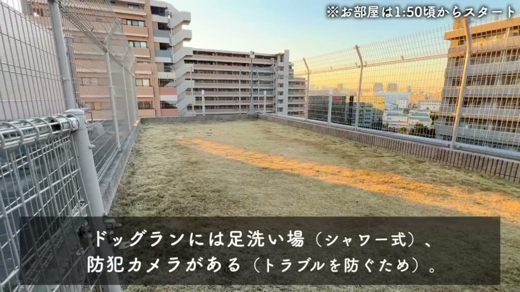 潮見の賃貸マンション 1DKの天然芝