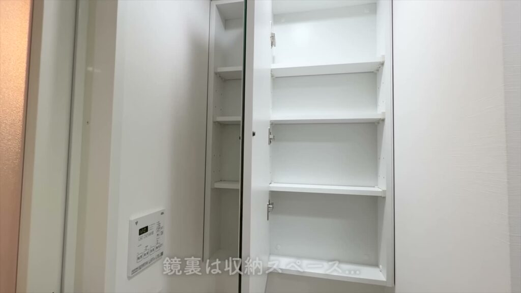 PREMIUM CUBE G 後楽園 2Kの鏡裏収納