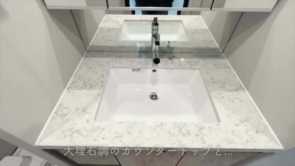オーパスレジデンス武蔵小山 1LDKの洗面台