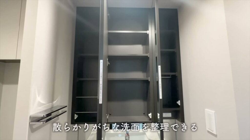 オーパスレジデンス武蔵小山 1LDKの鏡裏収納