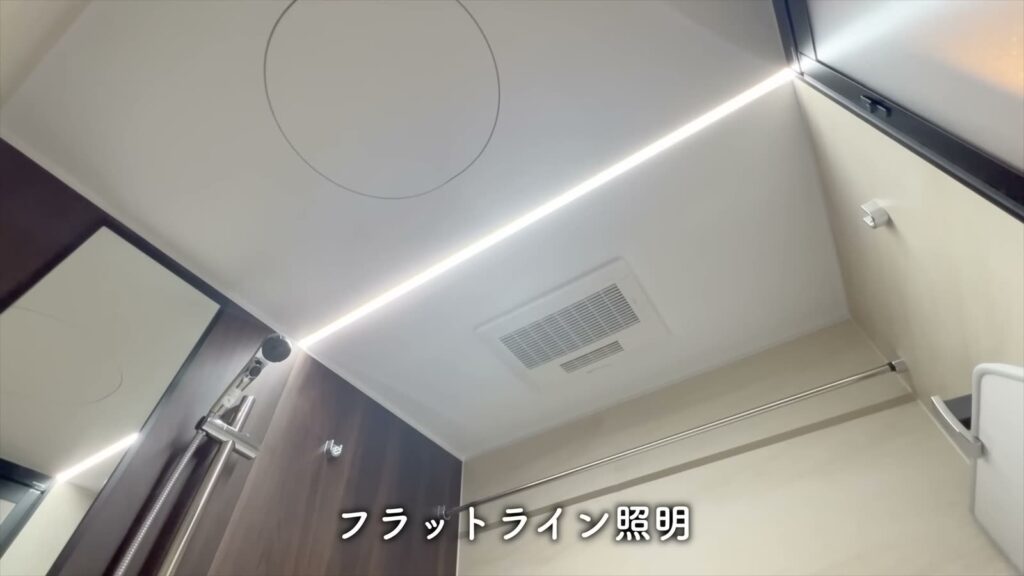 オーパスレジデンス武蔵小山 1LDKの天井照明
