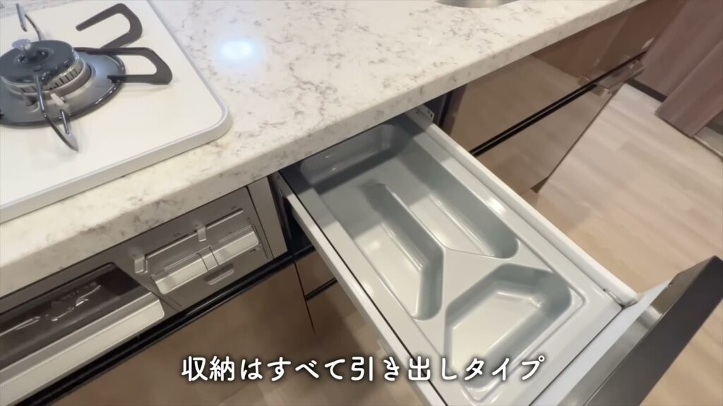 オーパスレジデンス武蔵小山 1LDKの引き出し収納