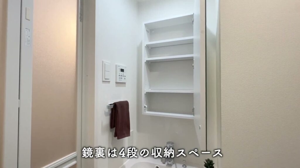 ラフィスタ品川戸越 1DKの鏡裏収納