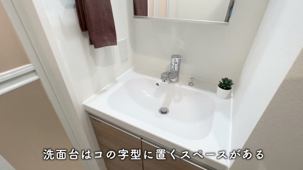 ラフィスタ品川戸越 1DKの洗面ボウル
