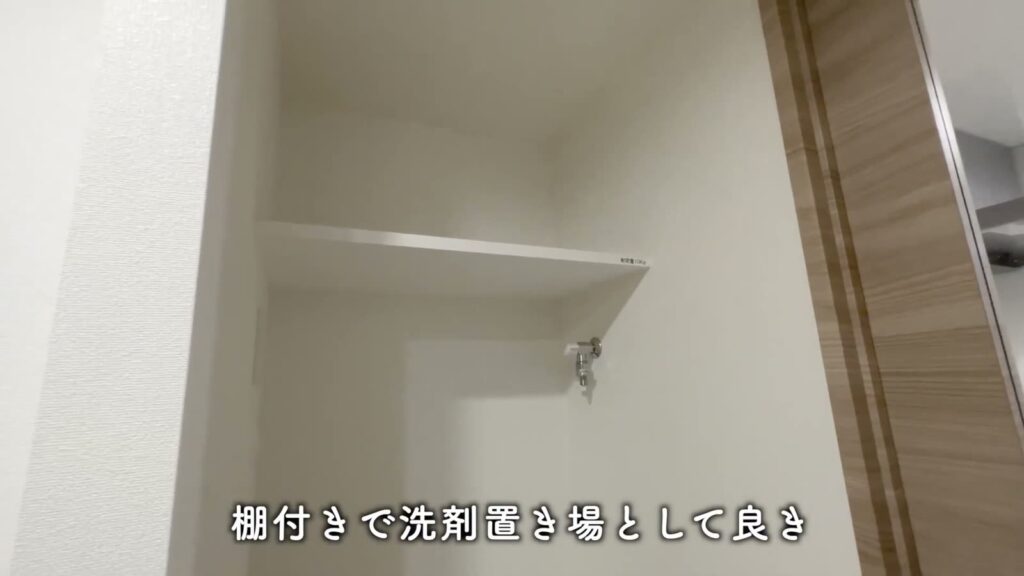 ラフィスタ品川戸越 1DKの洗剤置き場