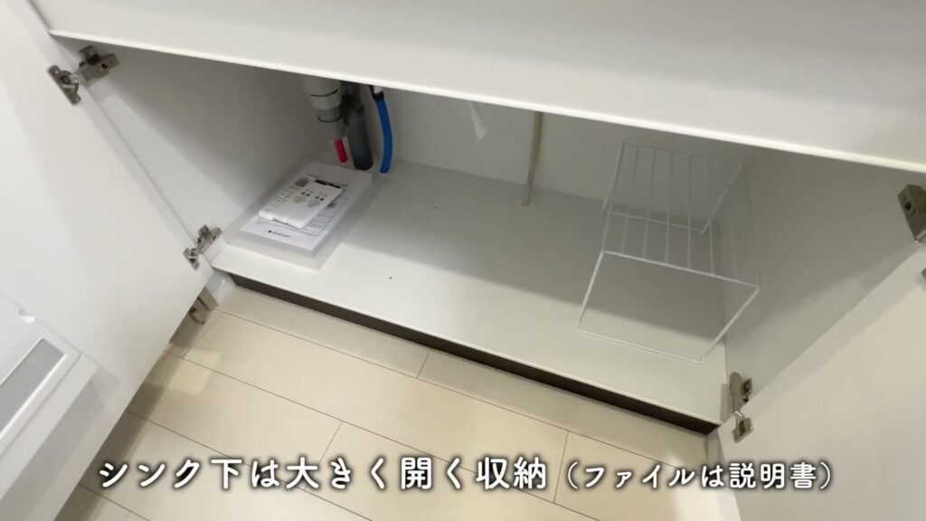 ラフィスタ品川戸越 1DKのシンク下収納