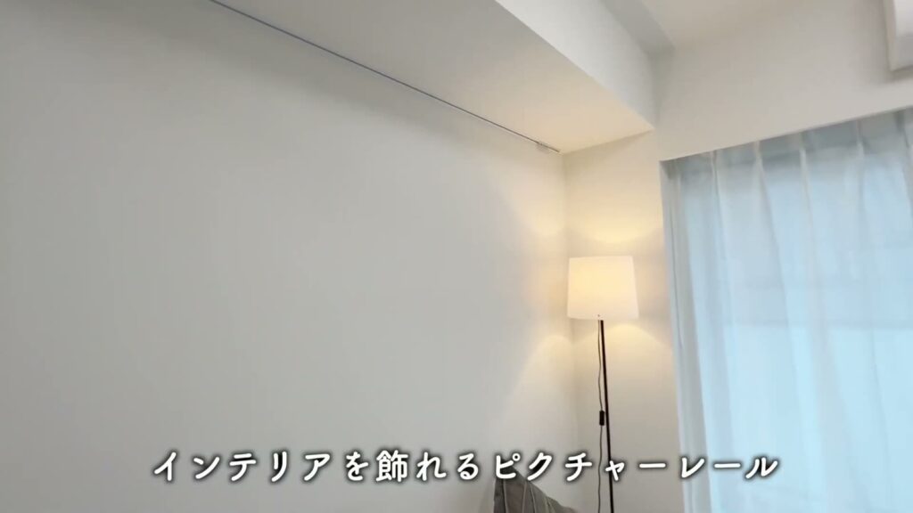 ラフィスタ品川戸越 1DKのピクチャーレール