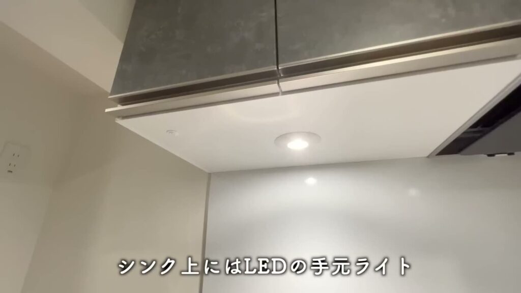 クレヴィスタ横浜大口 1Kの吊り戸棚