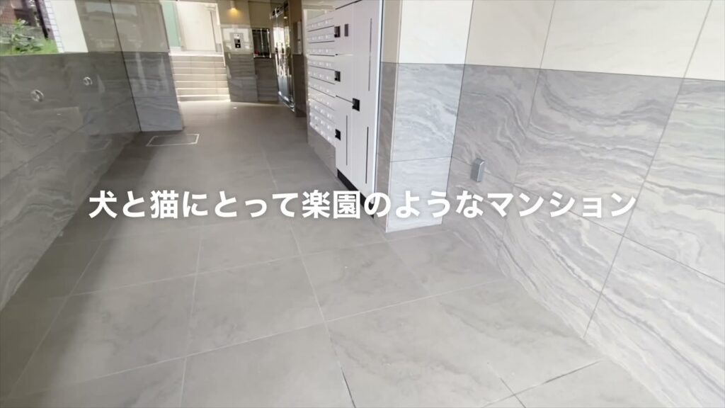 イヌネコヒルズ 1LDKの宅配ボックス