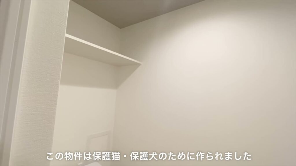 イヌネコヒルズ 1LDKの吊り棚