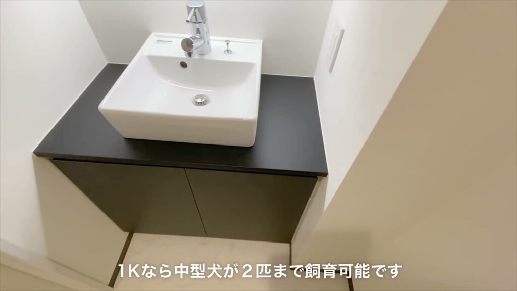 イヌネコヒルズ 1LDKの洗面ボウル