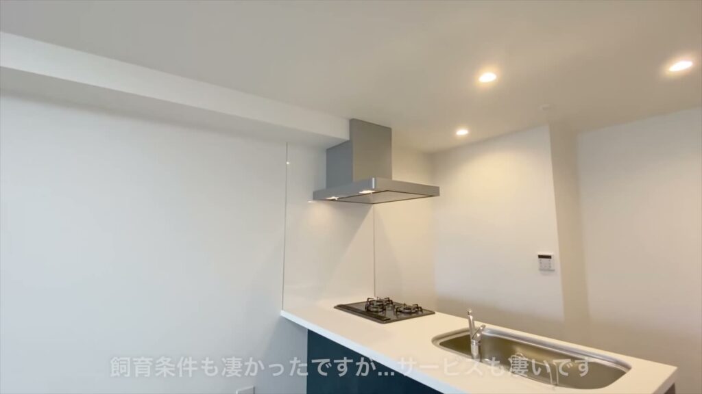 イヌネコヒルズ 1LDKのキッチン