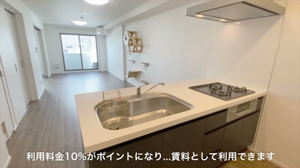 イヌネコヒルズ 1LDKのシンク