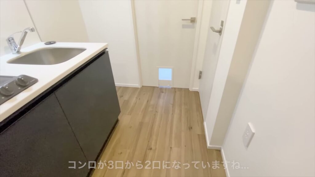 イヌネコヒルズ 1LDKの1Kのキッチン