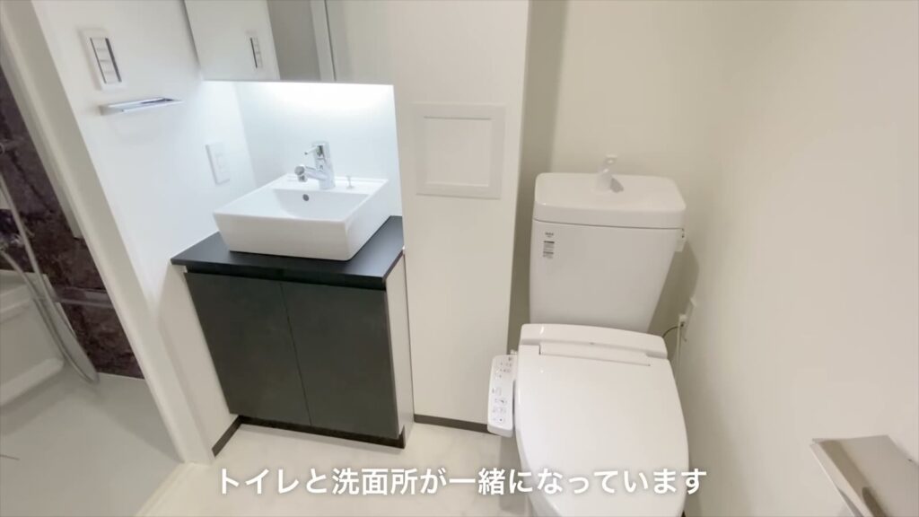 イヌネコヒルズ 1LDKの洗面所とトイレ