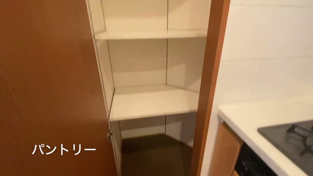 百道タワー（THE MOMOCHI TOWER） 3LDKのパントリー