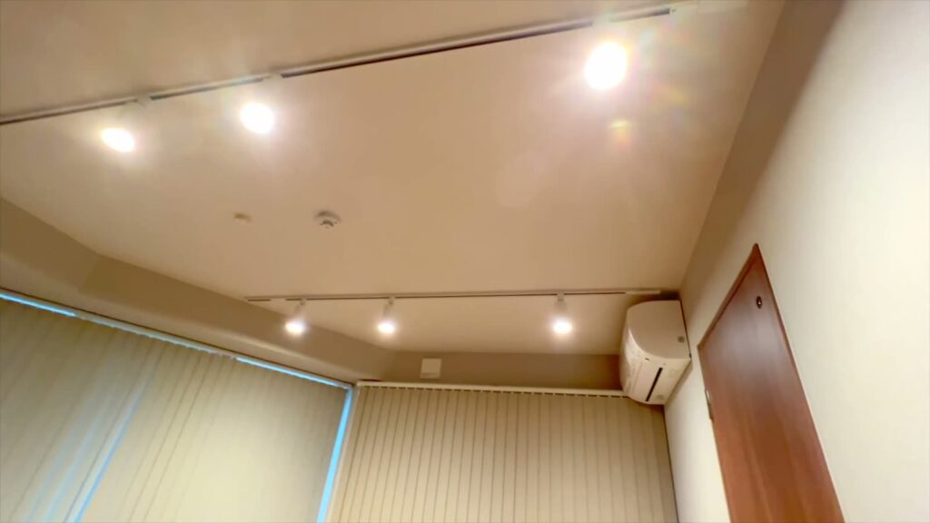 ドルチェ竹屋町 ワンルームの天井