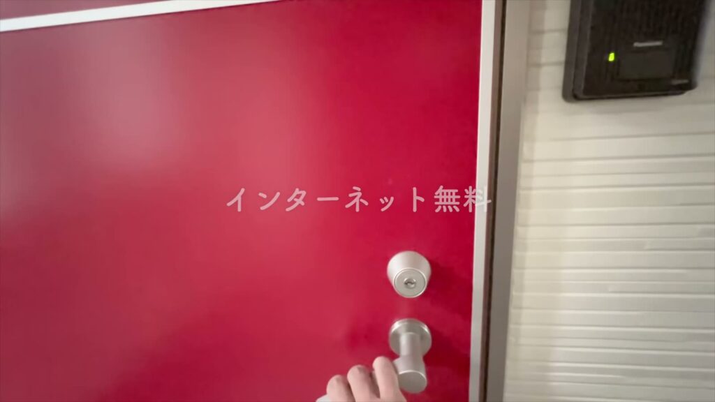 1LDKのルーフバルコニー付き物件 1LDKの玄関ドア