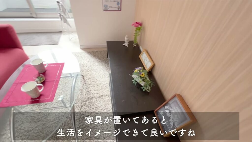 1LDKのルーフバルコニー付き物件 1LDKのテレビ台