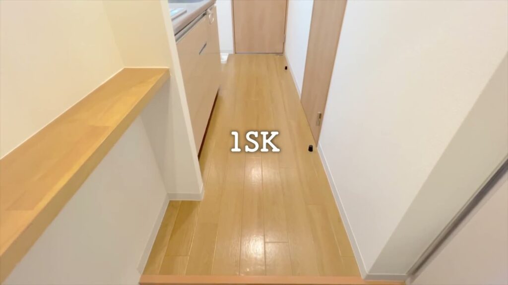 MAISON LE REVE KANNAI 1SKの玄関の棚