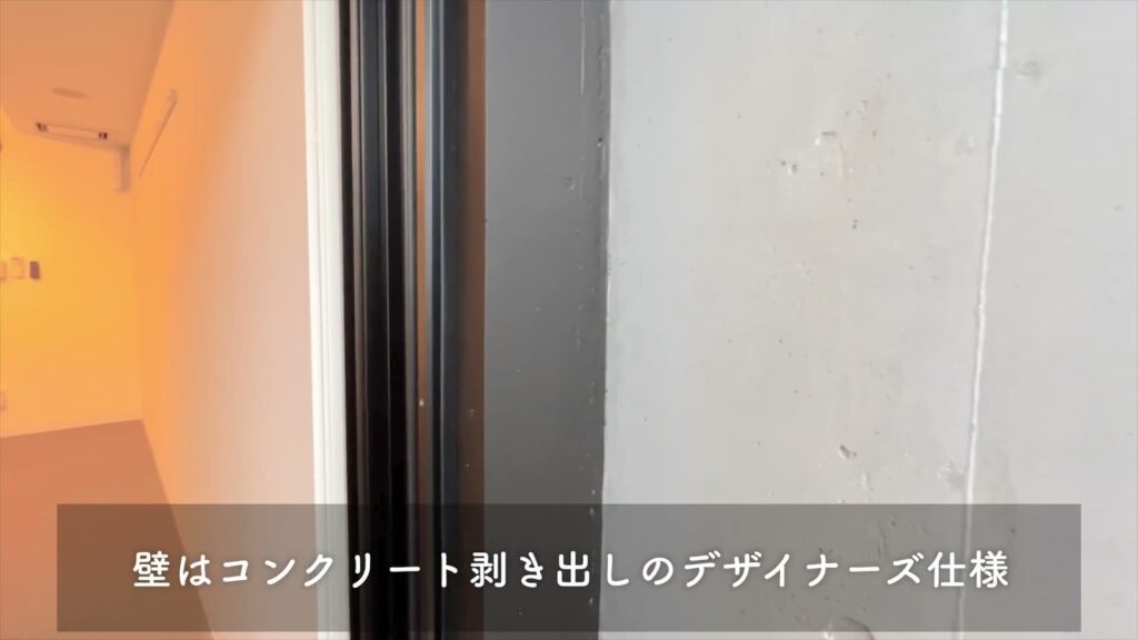 MAISON LE REVE KANNAI 1SKの外壁