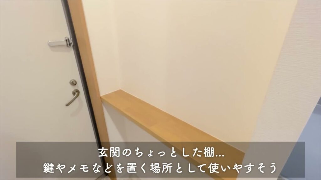MAISON LE REVE KANNAI 1SKの玄関ドア側