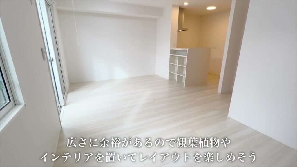 1LDKのキッチン側