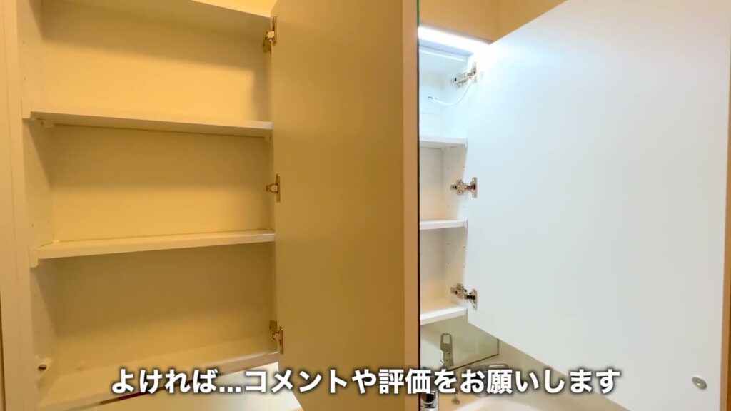 広島市東区の1LDK 1LDKの鏡裏収納